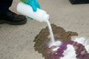 Premium Alkali Neutralising Powder for Safe and Efficient Spill Management with Built-in Indicator System