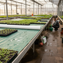 Premium Capillary Matting Roll with Excellent Wet/Dry Performance and Strong Capillary Rise for Reliable Water Supply